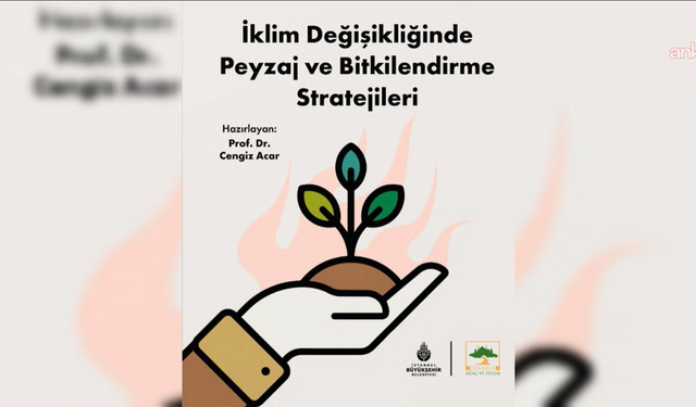 Küresel İklim Krizine Karşı Dev Devrim: İstanbul Ağaç ve Peyzaj AŞ Şehirlerin Geleceğini Kurtaracak O Formülü Açıkladı!