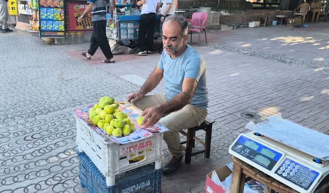 Tanesi 42 Liradan Satılan İncir Cep Yakıyor: "Bu Fiyatlarla İncir Alamam!"