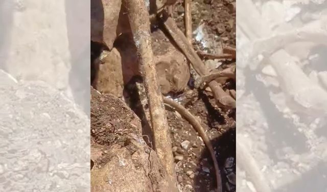 TOKİ İnşaatında Korkunç Keşif! Kepçe Yere Vurdukça İskelet Çıktı: Sır Dolu Kemikler İncelemede