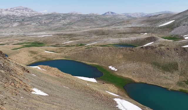 Tunceli'de Alarm Veren Uyarı! Plansız Otlatma ve Kuraklık Meraları Tehdit Ediyor