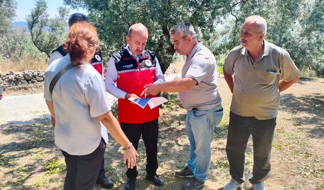 Üretici Kan Ağlıyor: Erdek'te Fırtına ve Dolunun Vurduğu Zeytinlikler İçin Seferberlik Başlatıldı!