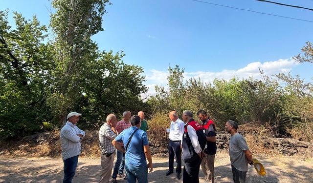 Malatya'da Alevler Yerleşim Yerlerine Tehdit Oluşturdu: İki İlçede Anız Yangını Korkuttu!