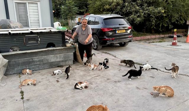 Rızkını sokaktaki canlarla paylaşıyor: "Ben bakmazsam bu canlara kim bakacak?"