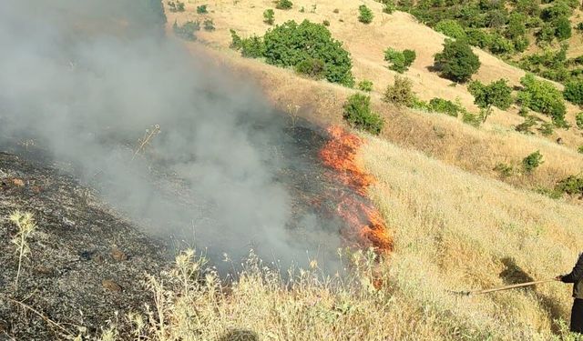 Doğanyol'da Orman Yangını: İshak Mahallesi Alevlere Teslim, Ekipler Seferber Oldu!