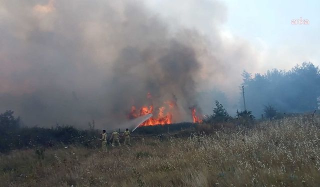 Tarım ve Orman Bakanlığı'ndan 9 İl İçin Kritik Orman Yangını Uyarısı: Telefonlara Mesaj Gönderildi