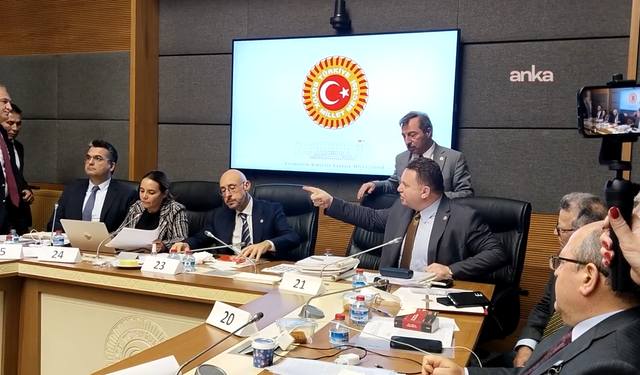 İYİ Partili Ayyüce Türkeş'e Yönelik Tutuma AK Partili İsimden Yanıt!