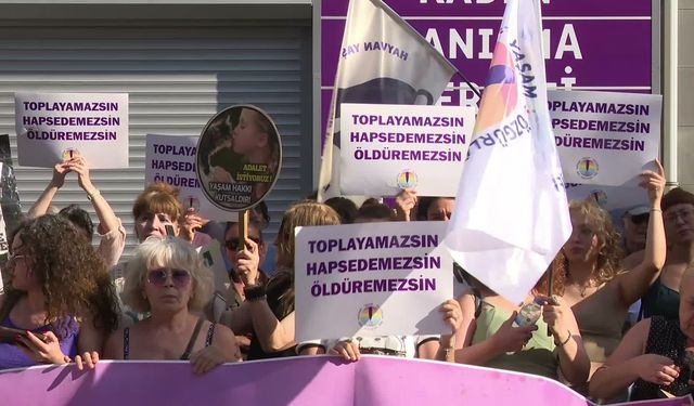 "Katliam Yasası"nın 2. Yılında Ankara'da İptal Çağrısı: Barınaklar Ölüm Kampına Dönüştü!