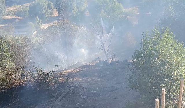 Malatya Darende'de bahçede çıkan yangın yurttaşların da desteğiyle kontrol altına alındı