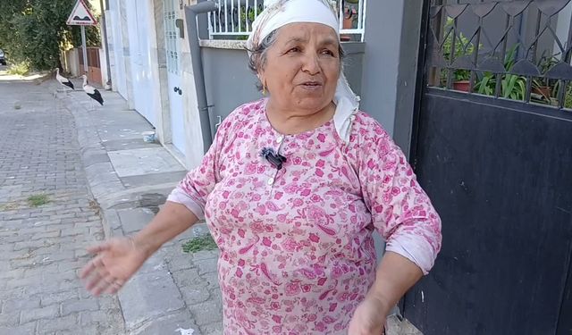 Yuvadan Düşen Yavruları Ciğerle Beslediler: Kapılarından Bir An Olsun Ayrılmıyorlar!