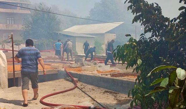 Darende Alevlere Teslim! Evlere Sıçrayan Yangın İçin Seferberlik İlan Edildi: Vali Yavuz Bölgeye Gidiyor