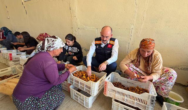 Doğanşehir'de Hasat Mesaisi! Kaymakam Sungur Tarlaya İndi, Üreticinin Taleplerini Dinledi