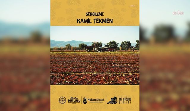 Bağ Bozumu Şenliği Fotoğraf Yarışması Sonuçlandı: İşte Kazanan İsimler!