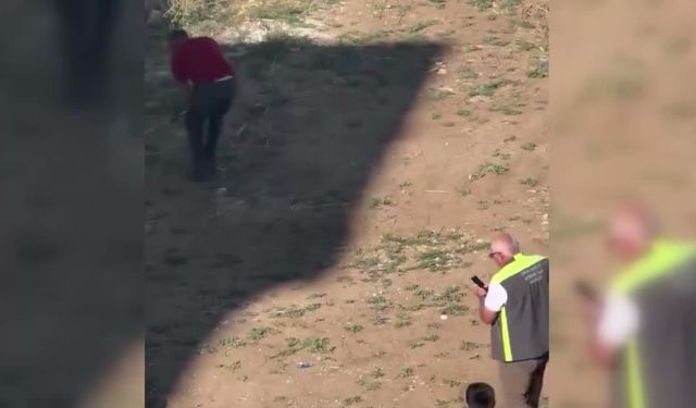 Otomobilden Çıkarılan Yılan Dehşet Saçtı: O Anlar Kamerada