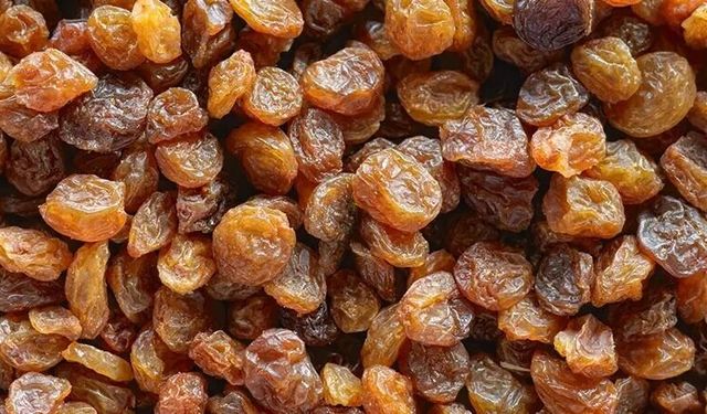 TMO Çekirdeksiz Kuru Üzüm Alım Fiyatlarını Açıkladı: Alımlar 15 Eylül'de Başlıyor
