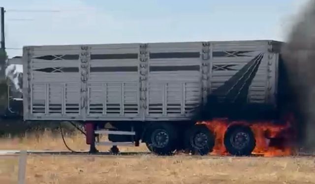 Kayseri kara yolunda hareketli dakikalar: Darende’de tır dorsesi alev alev yandı