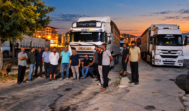 Pancar Nakliyecilerinden Kontak Kapatma Uyarısı: "Bu Fiyatlarla Taşımacılık İmkansız"