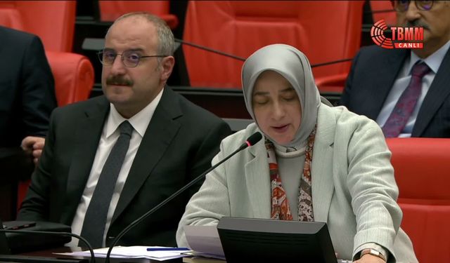 AK Parti'li Özlem Zengin'den Fon Açıklaması: "Kim Hukuku İhlal Ettiyle Hesap Vermeli"