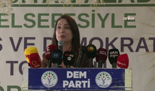 DEM Parti Eş Genel Başkanı Tülay Hatimoğulları: “Demokratikleşme için çerçeve yasa hayata geçmeli”