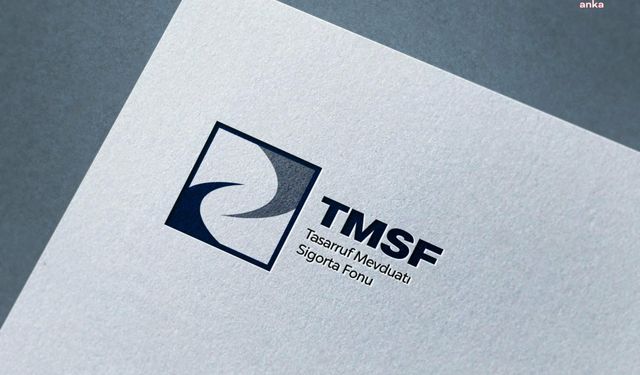 Tera Yatırım Teknoloji Holding'e TMSF Kayyumu Atandı: Yeni Yönetim Kurulu Belli Oldu