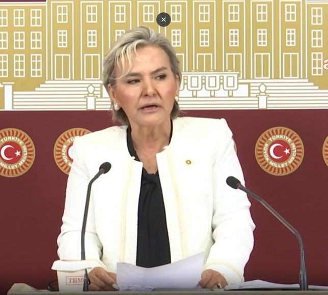 CHP'de Flaş İstifa Depremi: Nimet Özdemir "Gördüğüm Lüzum Üzerine" Diyerek Yolları Ayı