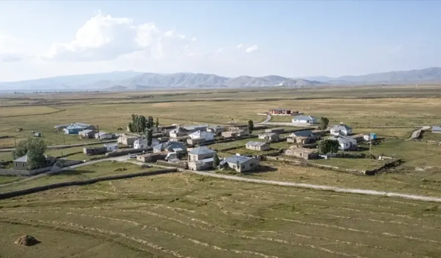 Doğu'nun yaylalarında yün yıkama zamanı