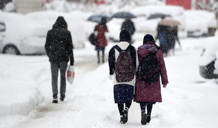 Erzurum ve Tunceli'de kar nedeniyle eğitime yarın ara verildi