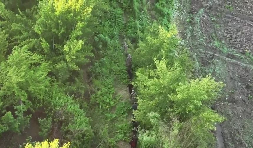 UNECO Dünya Kültür Mirası Listesi’ndeki Hevsel Bahçeleri'nde hava destekli uyuşturucu operasyonu