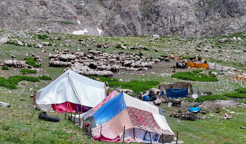 Havanın ısınmasıyla Van'ın yaylalarındaki hareketlilik arttı