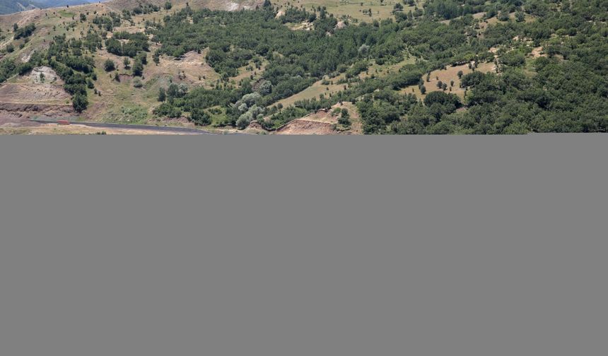 Muş Valisi Çakır, doğaseverlerle yürüyüş yaparak hareketli yaşamı özendiriyor