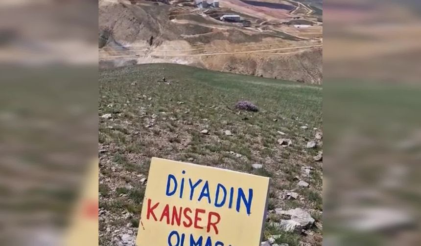 Ağrı'nın Diyadin ilçesindeki altın madeni projesine çevrecilerden tepki: "Diyadin İliç olmasın"