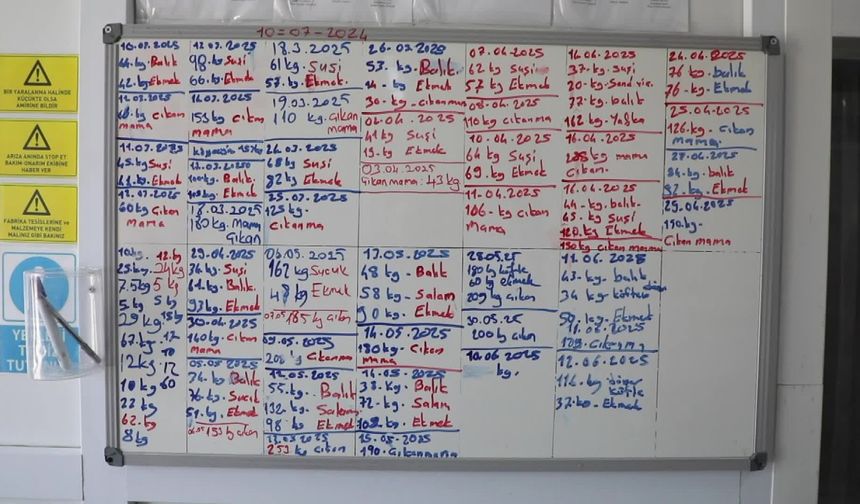 Muğla Büyükşehir Belediye Başkanı Aras: "Hayvan haklarına saygılı, çevre dostu ve sürdürülebilir bir anlayışla hareket ediyoruz"
