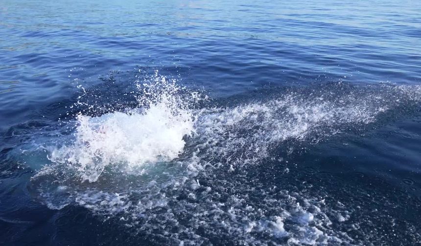 Otizmli ultra maraton yüzücüsü Tuna Tunca, Manş Denizi’ni geçecek