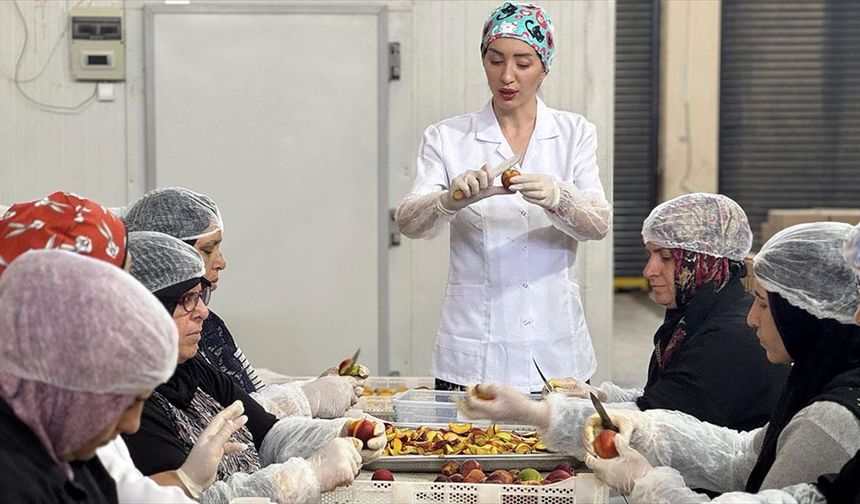 Depremzede kadın girişimci kuruttuğu meyve ve sebzelerle ihracata açıldı
