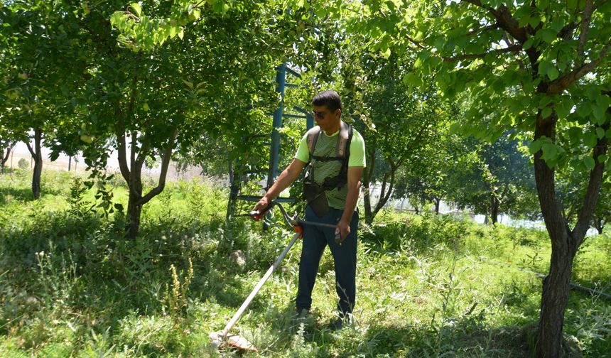Kanserden kurtuldu, 65 dönümlük atıl araziyi yaşam alanına dönüştürdü