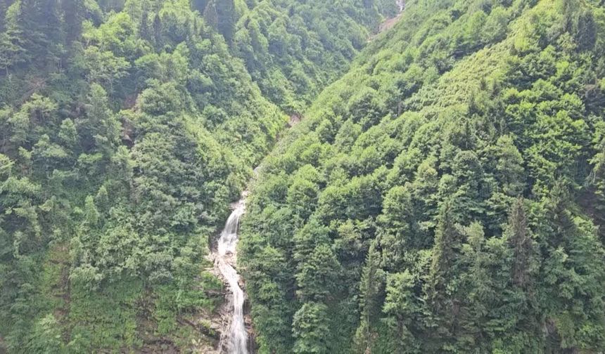 Çevreciler Aydın'dan Karadeniz'e seslendiler: "Havama, suyuma, toprağıma dokunma"