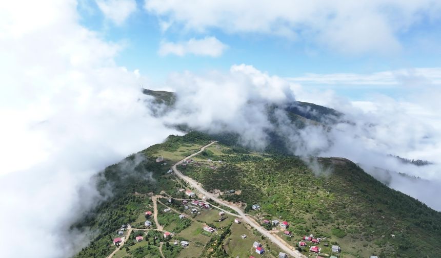Sis Dağı Yaylası doğaseverlerin gözdesi oldu