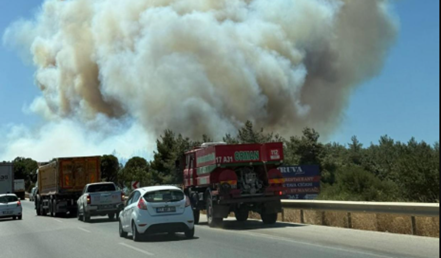 Çanakkale'deki orman yangını: Dumandan etkilenen 47 kişi tedavi altında