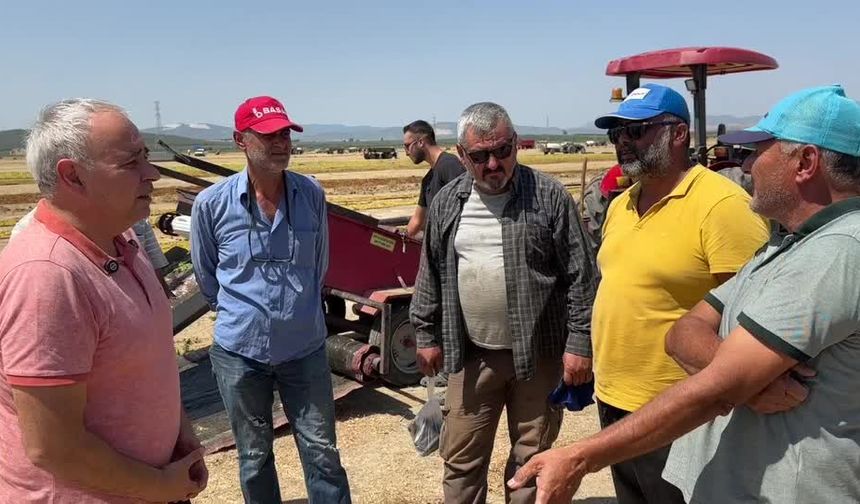 Üzüm üreticileri isyan etti: "Enflasyonla yarışamıyoruz"