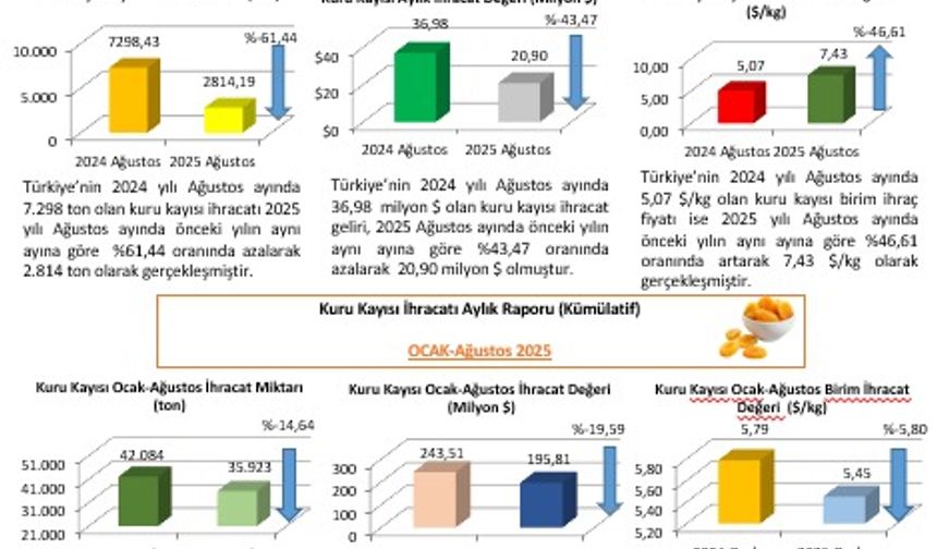Malatya Turgut Özal Üniversitesi’nden Kuru Kayısı Raporu: İhracatta Sert Düşüş