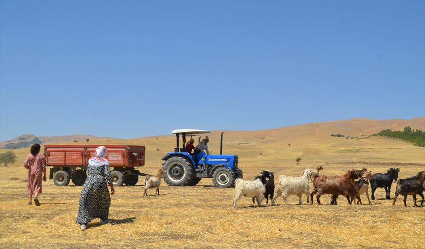 5 ay süren yayla yolculuğu sona erdi