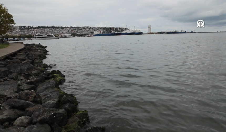 Karadeniz Biyoçeşitliliği İçin Ortak Proje: Halkın Farkındalığı Artırılacak