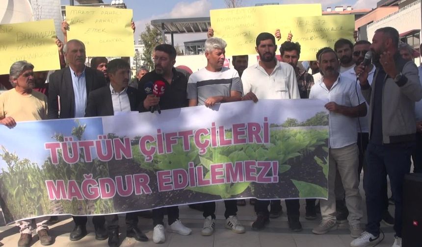 Adıyamanlı tütün üreticilerinden hükümete çağrı: “Emeğimizin karşılığını istiyoruz”