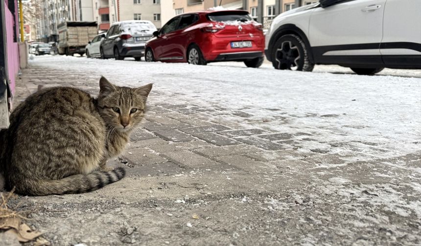 Doğu Anadolu’da Dondurucu Soğuk: Beş İlde Kar Yerini Buzlanmaya Bıraktı