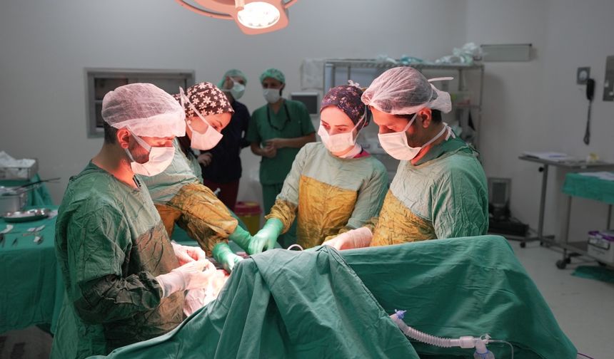 Malatya’da Tıp Başarısı: Yetmiş Yaşındaki Hastadan İki Kilo İki Yüz Gramlık Dev Tümör Çıkarıldı