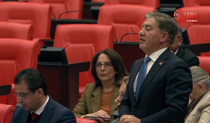 Mavi Vatan Tartışması