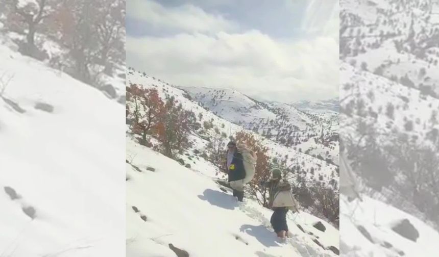 Basak Mahallesi sakinleri dağ keçileri için 1680 rakıma yem taşıdı