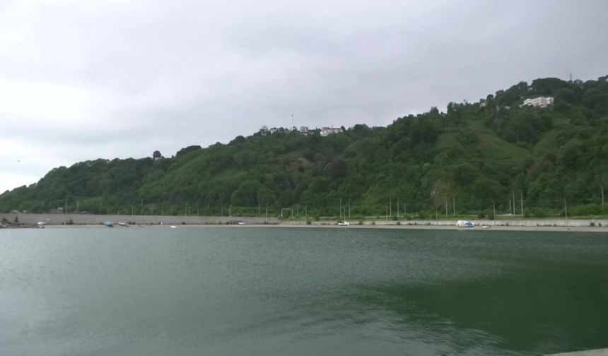 Karadeniz'de şafak operasyonu gibi kafes kondurdular: Rize halkı isyanda