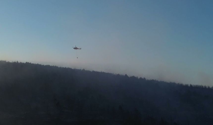 Bilecik’te Kabus Saatleri: Alevler Ormana Sıçradı, Ekipler Seferber Oldu!