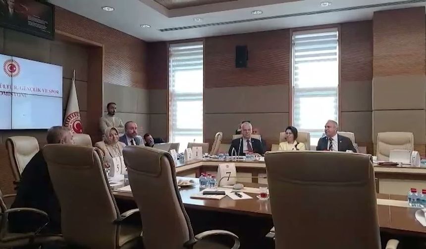 TBMM'de tansiyon tavan yaptı: Komisyonda istifa çağrısı ve 'hadi oradan' kavgasının perde arkası