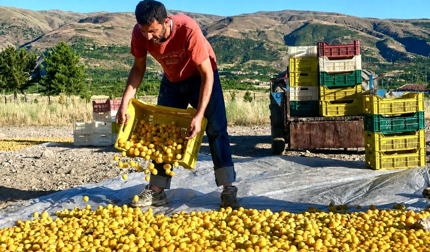 Battalgazi Ziraat Odası Başkanı: "Üretici Olmazsa İhracat da Olmaz!"